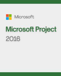 Microsoft Project 2016 Professional 