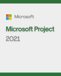 Microsoft Project 2021 Professional 